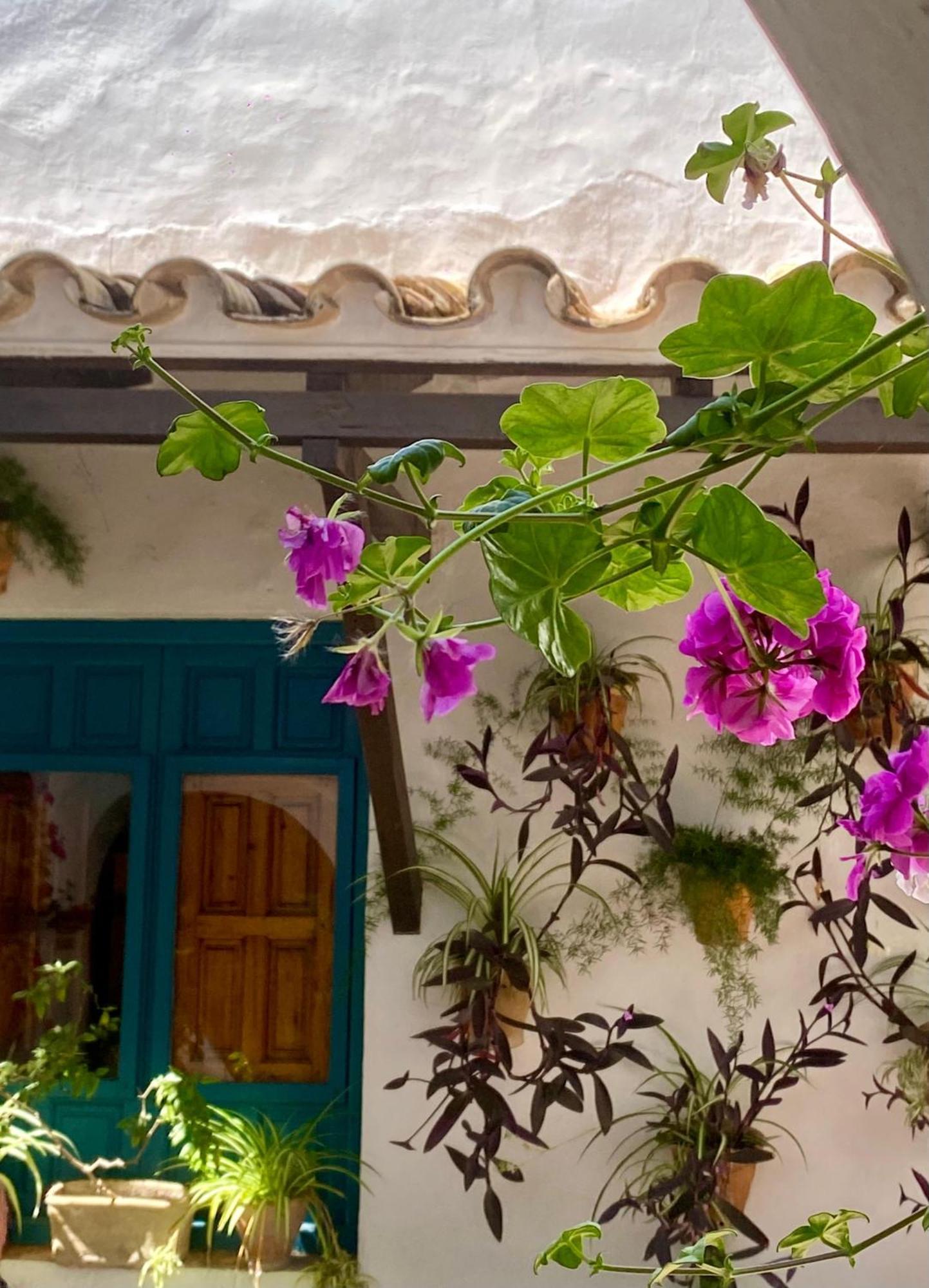 La Buganvilla De Santiago กอร์โดบา ภายนอก รูปภาพ