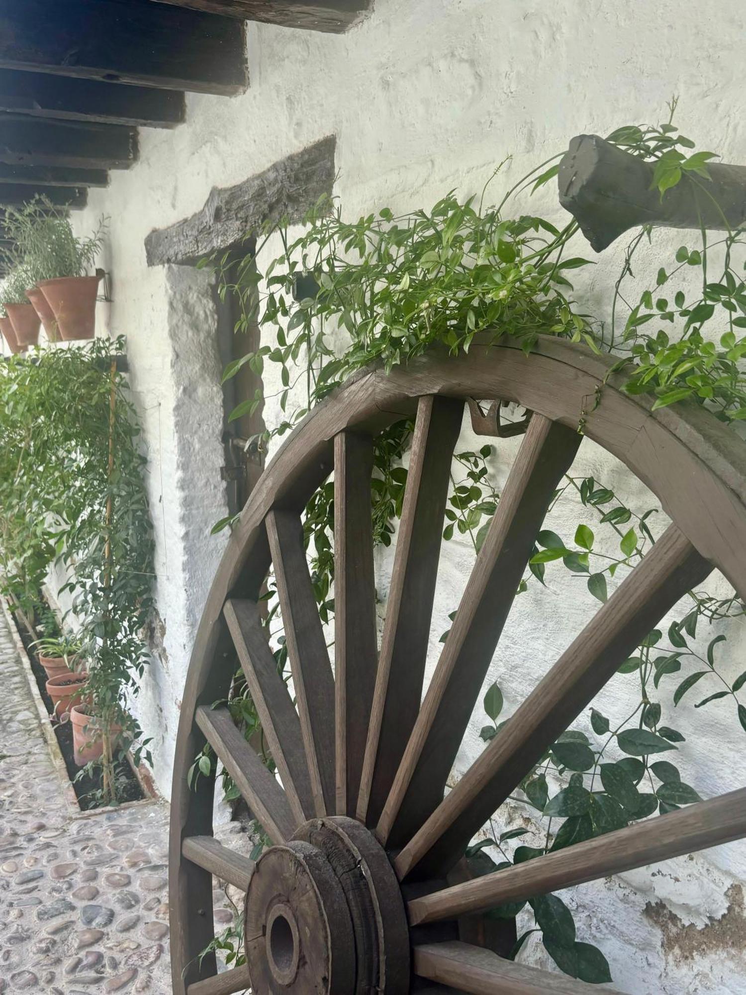 La Buganvilla De Santiago กอร์โดบา ภายนอก รูปภาพ