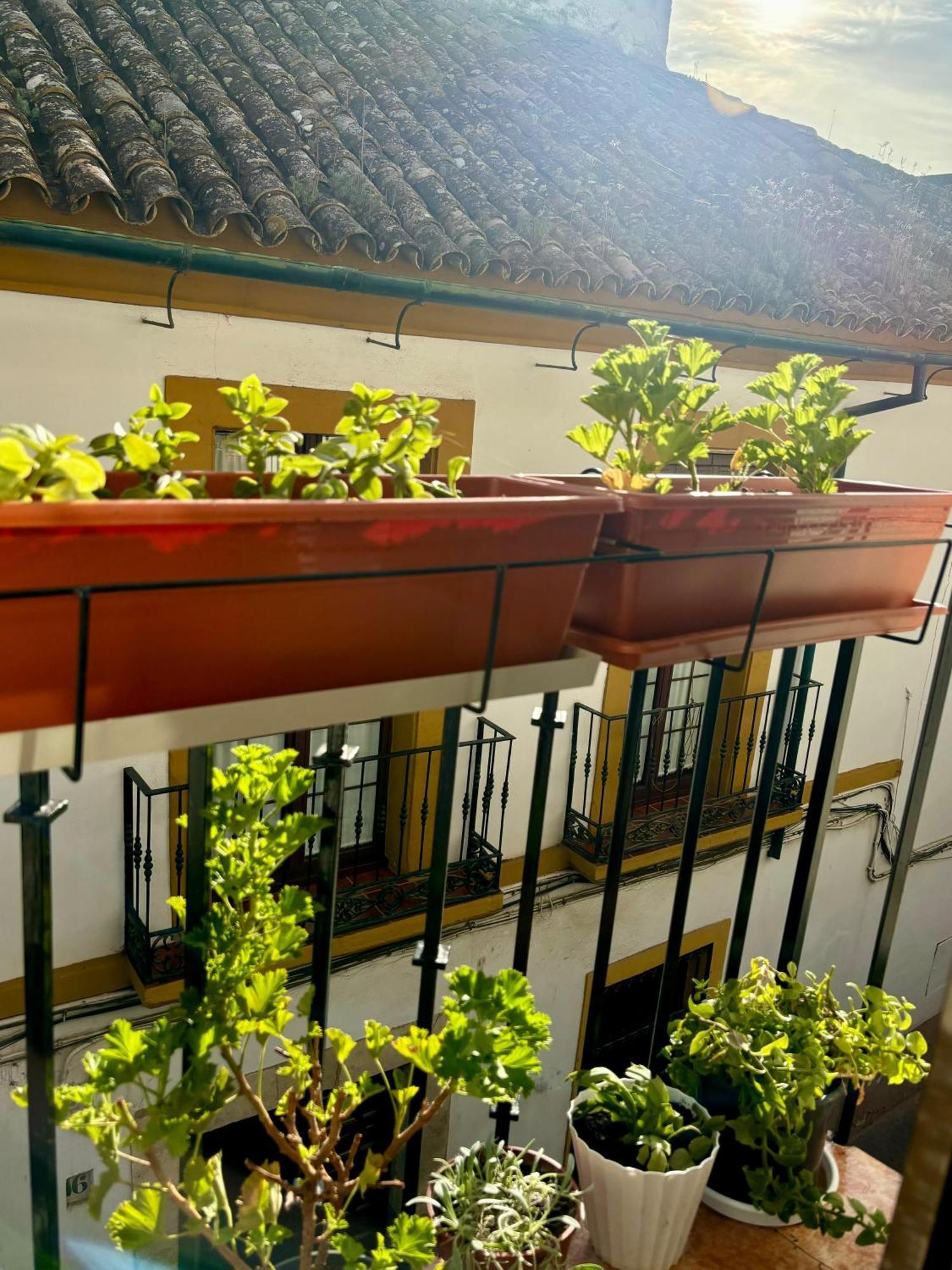 La Buganvilla De Santiago กอร์โดบา ภายนอก รูปภาพ